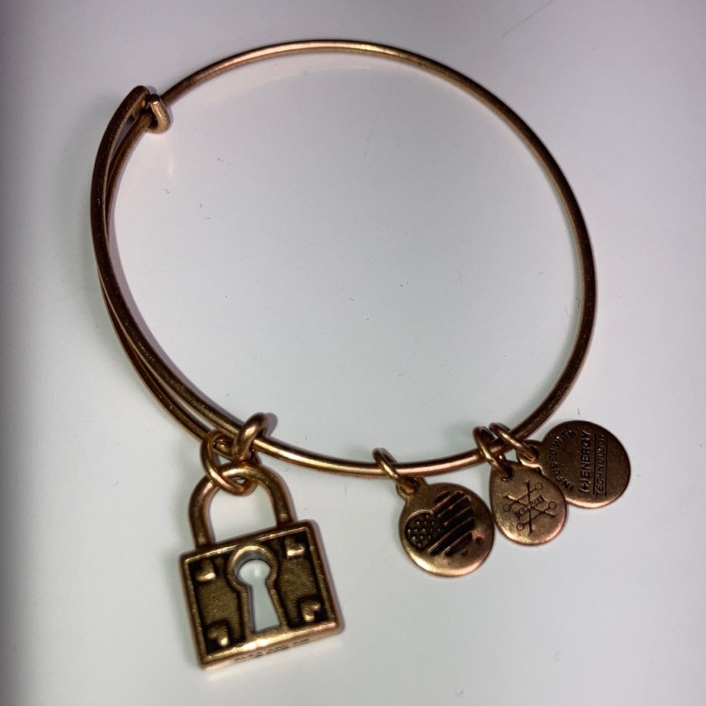 Alex and Ani Unbreakable Love Charm Bangle - Picture 2 of 9